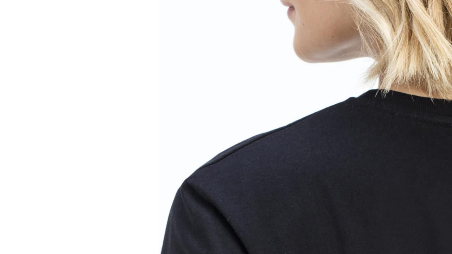 the_bf_tshirt_cover_desktop.jpg